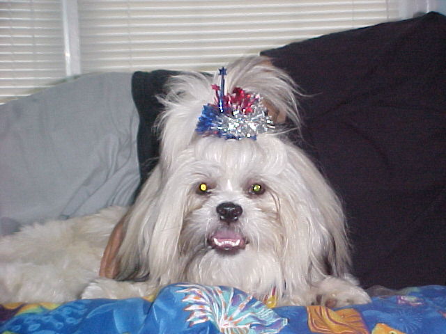 Nemo on 4th of July