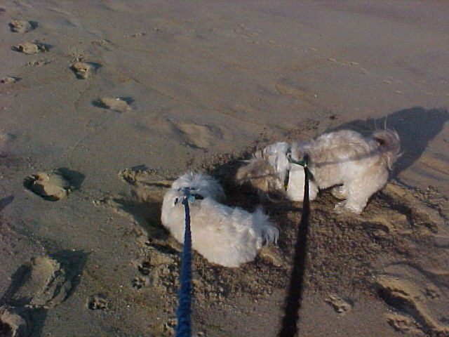 Just a diggin!