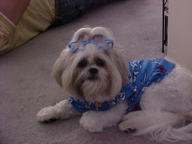 Beach Boy Nemo