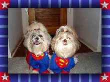 Super Ziggy and Super Nemo