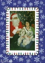 Merry Christmas from Ziggy and Nemo!