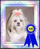 Nemo won 1st place