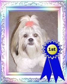 Nemo won 1st place