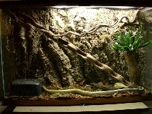 Setup for cave racer