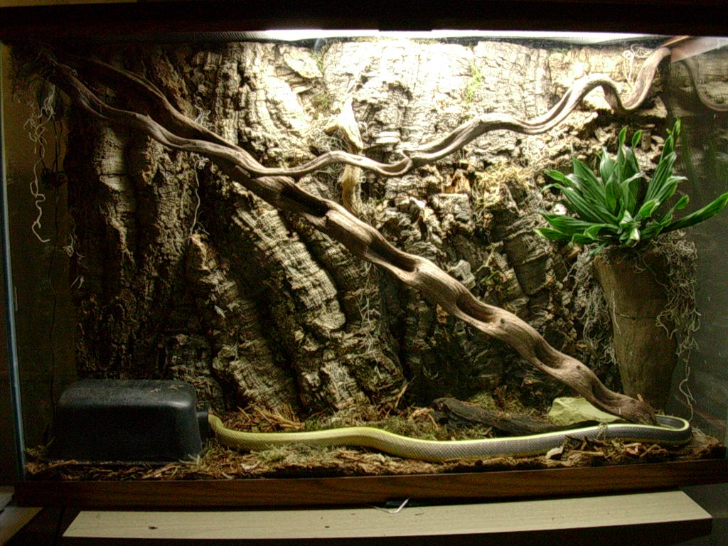 Setup for cave racer
