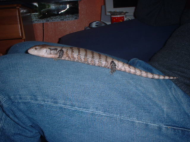 norbert at a yr old