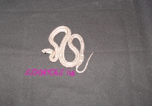 #3 Striped Pastel Ghost