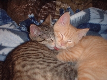 smoochie smoochie