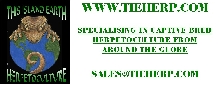 TIEHERPBANNER