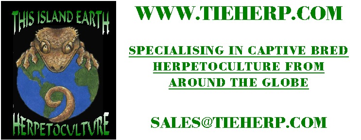 TIEHERPBANNER