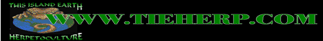 animbanner