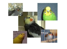 My fids