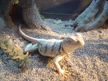 NOT SO FAT NOW!!!
