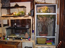 right side of herp room