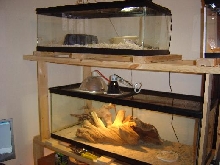 left side of herp room