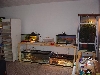 reptile room