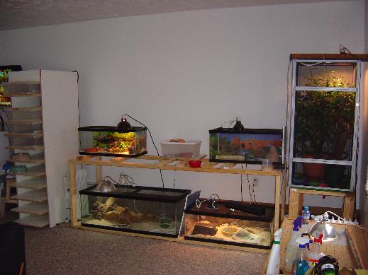 reptile room