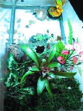 top view