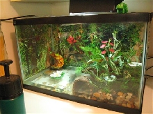 FBT tank