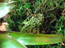 One of the three