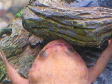 red marks