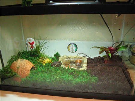 Ziggy's Home