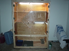 Bodi's new PALACE!!