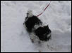 first big snow