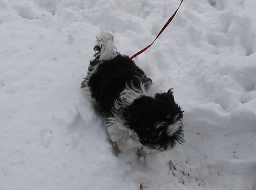 first big snow