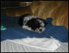 looking innocent....