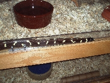 4 foot king in a 1/4 inch gap