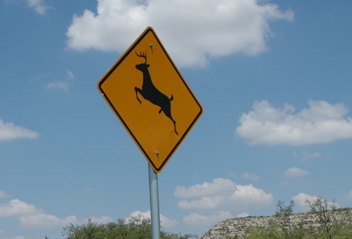 deer sign
