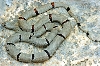 Dan's hueco 95