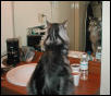Mirror Image