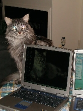 I Love My Dell