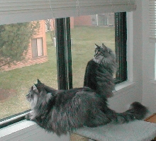 Connor & Gilda