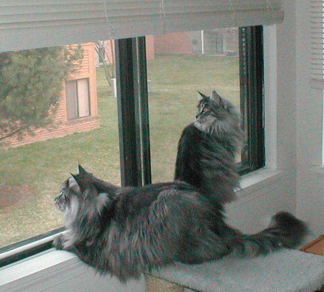 Connor & Gilda
