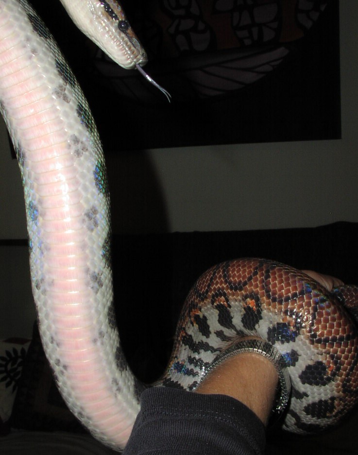 Pre-shed BRB