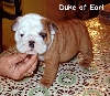 Pup from last (Honey) Litter