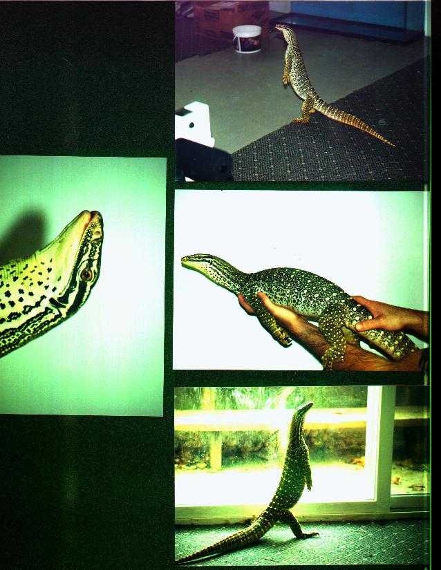 3.5' Argus Monitor