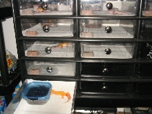 Rack system