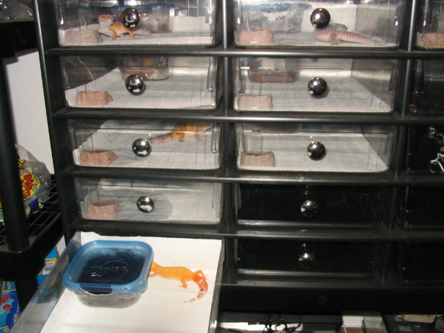 Rack system