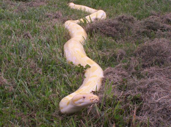 All Stretched Out