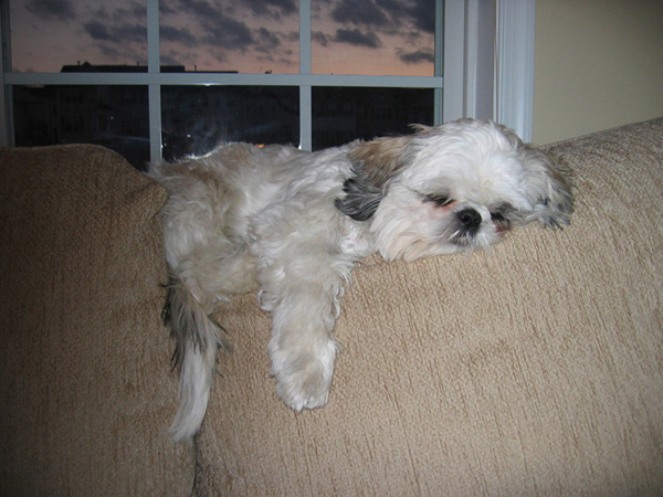 On the couch