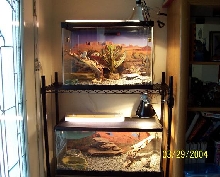 Condo