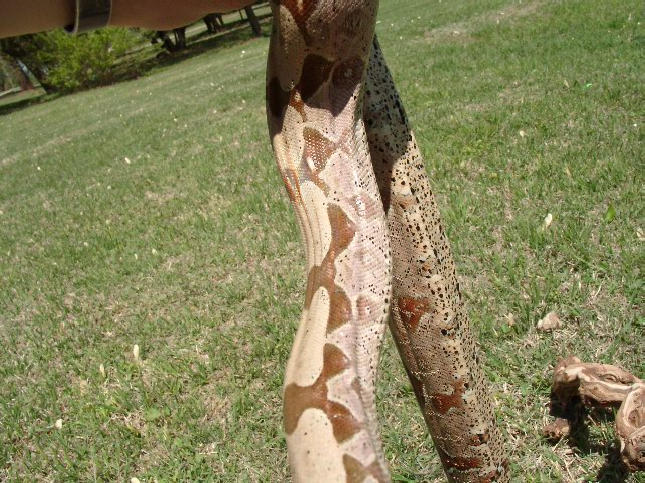 Guyana Female 1