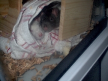 Snuggle Time