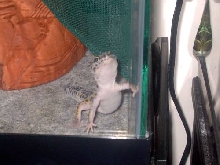Lemme Out!