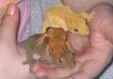 Family photo