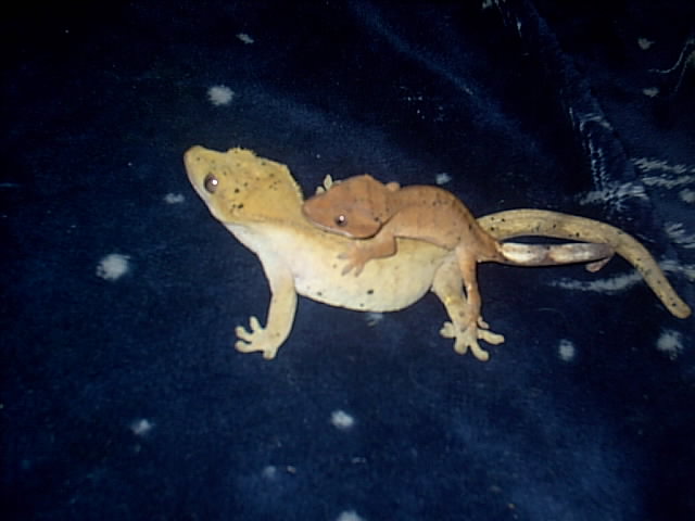 Mommy and Baby